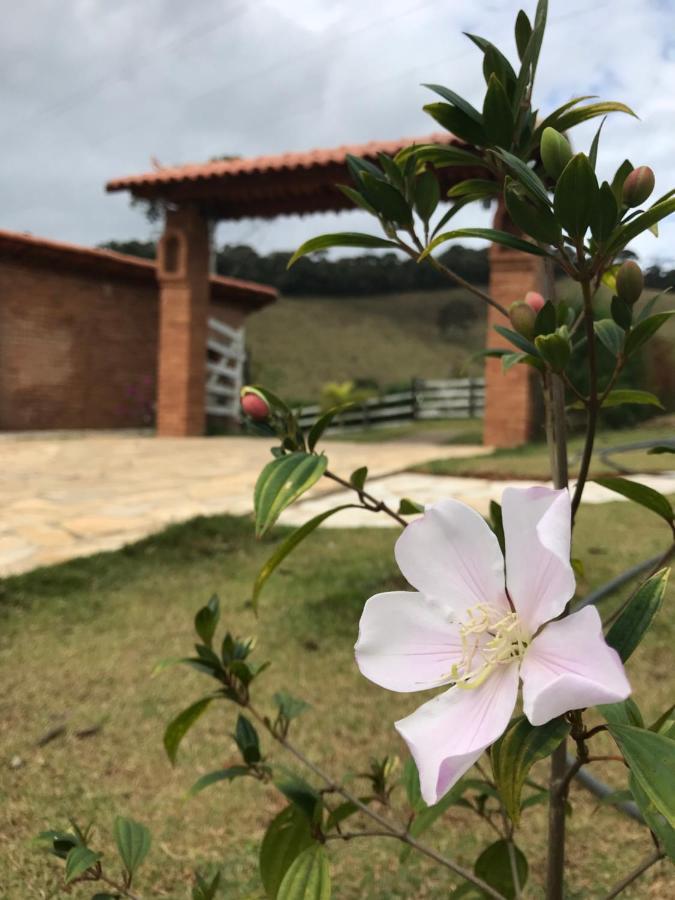 Chales Alternativa Sitio Conceição da Ibitipoca 外观 照片